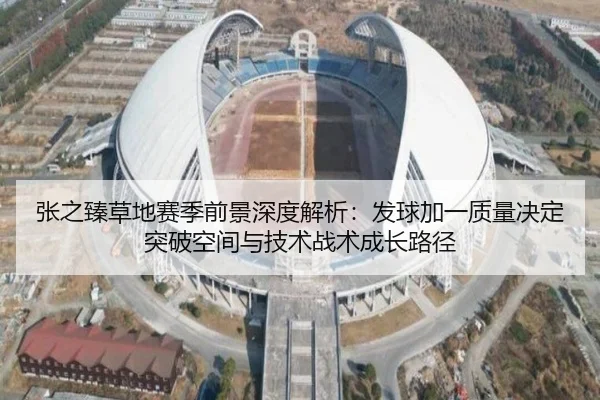 张之臻草地赛季前景深度解析：发球加一质量决定突破空间与技术战术成长路径